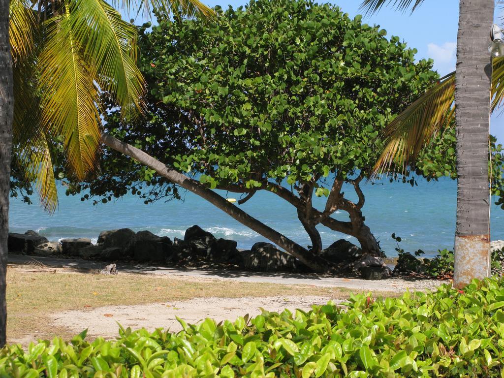Tamarind Reef Resort Spa & Marina Christiansted Luaran gambar