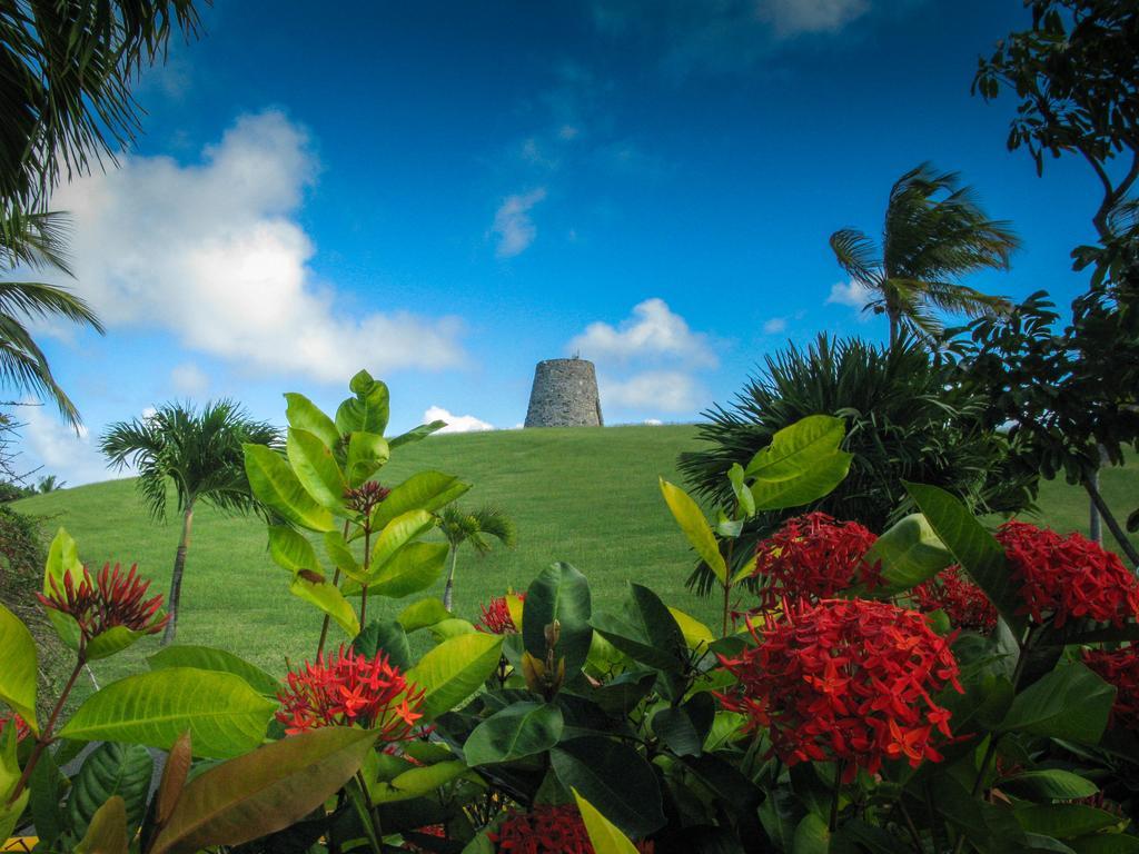 Tamarind Reef Resort Spa & Marina Christiansted Luaran gambar