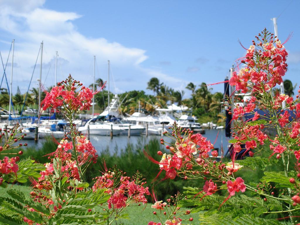 Tamarind Reef Resort Spa & Marina Christiansted Luaran gambar