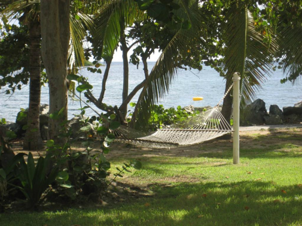 Tamarind Reef Resort Spa & Marina Christiansted Luaran gambar