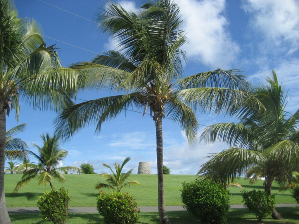 Tamarind Reef Resort Spa & Marina Christiansted Luaran gambar