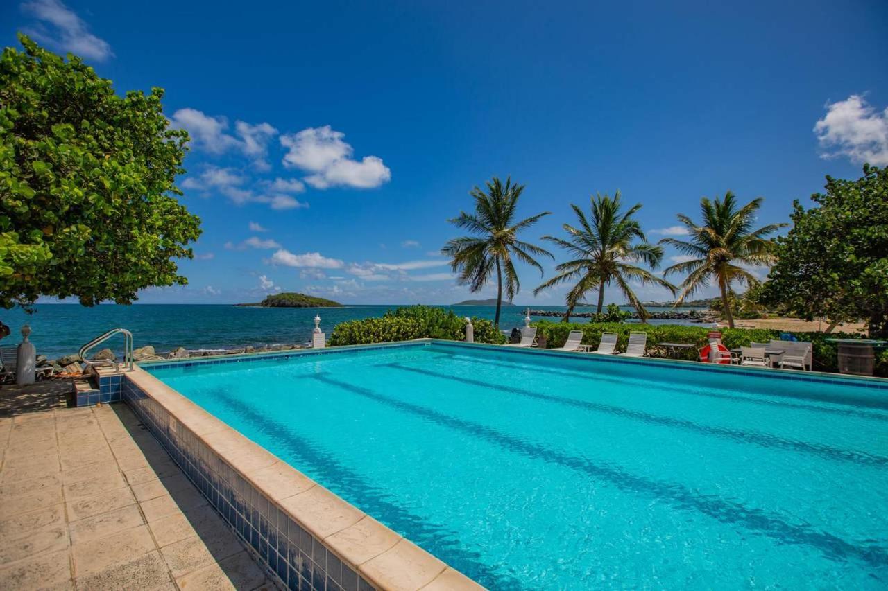 Tamarind Reef Resort Spa & Marina Christiansted Luaran gambar
