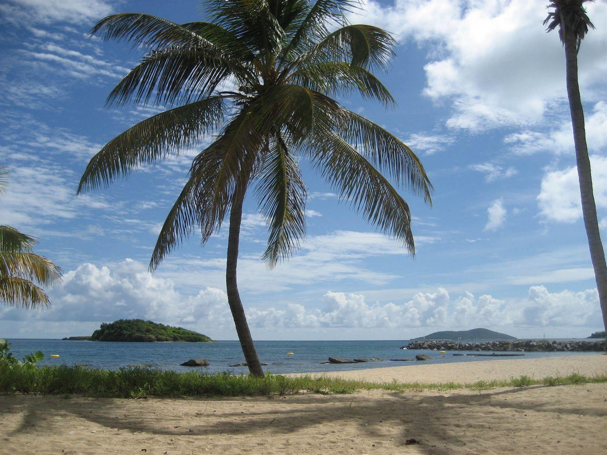 Tamarind Reef Resort Spa & Marina Christiansted Luaran gambar